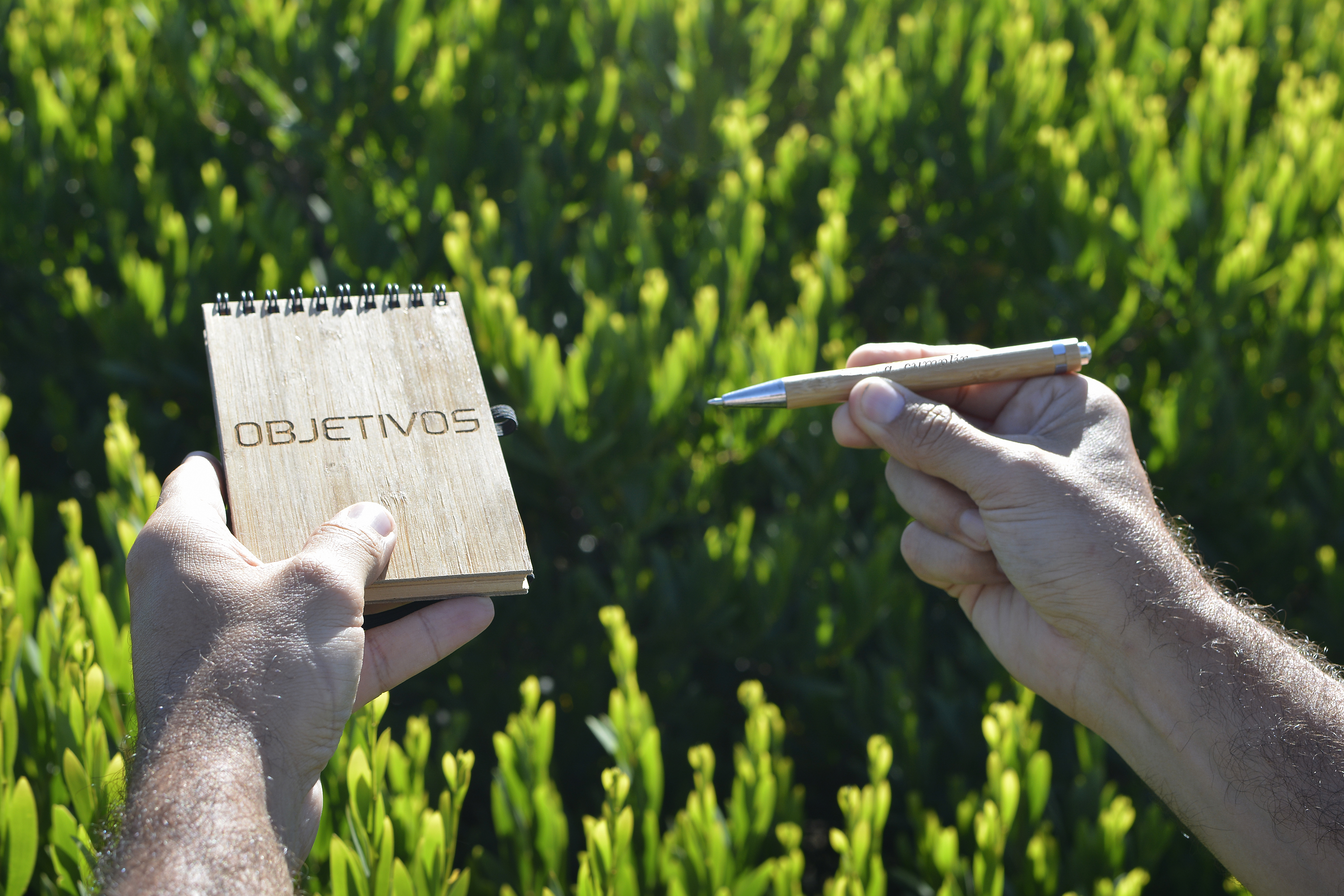 Ecoscritor Objetivos a Cumplir