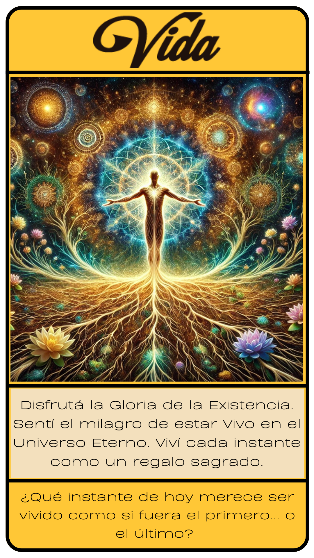 Carta de VIDA de Ricas Palabras